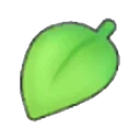 Leaf