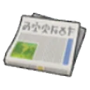 Newspaper