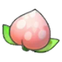 Pecha Berry