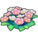 Wildflowers