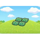 Tall grass