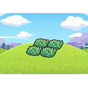 Elevated tall grass
