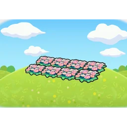 Field of flowers