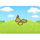 Campsite
