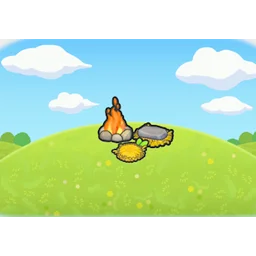 Campsite