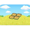 Yellow tall grass