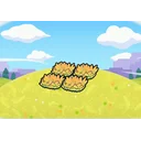 Elevated yellow tall grass