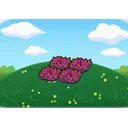 Red tall grass