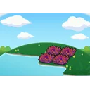 Hydrated red tall grass