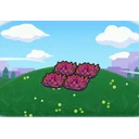 Elevated red tall grass