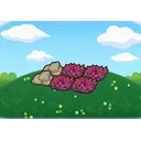 Grassy training field