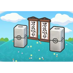 Dojo training