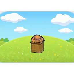 Skull fossil display