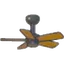 Ceiling fan
