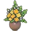Extravagant flowers