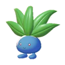 oddish