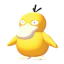 psyduck