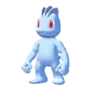 machop
