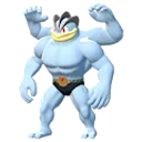 machamp
