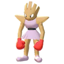 hitmonchan