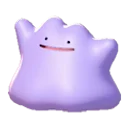 ditto