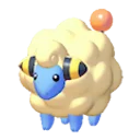 mareep