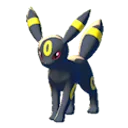 umbreon
