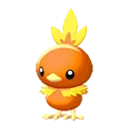 torchic