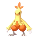 combusken