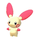 plusle