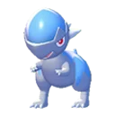cranidos
