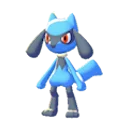 riolu