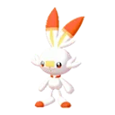scorbunny