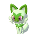 sprigatito